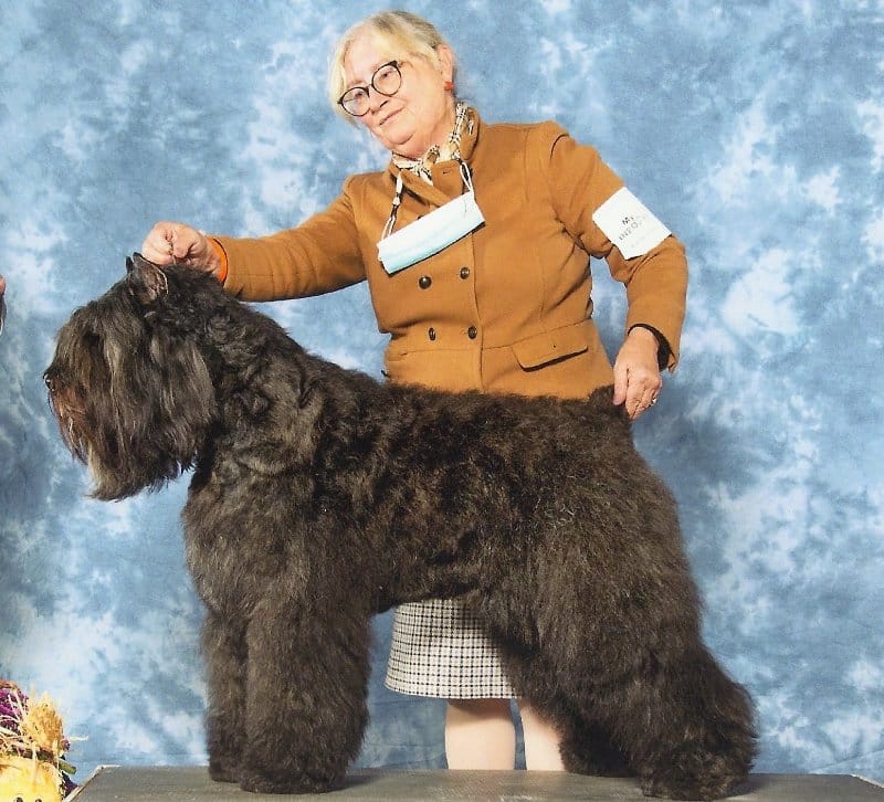 Owner Handler Jeannette Nieder with her dog