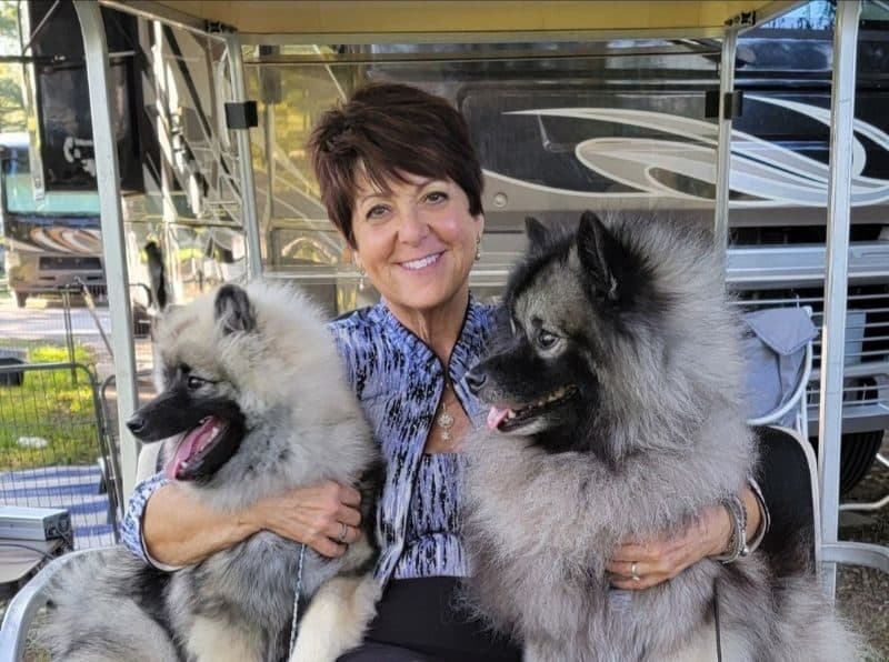 Owner Handler Jeri Kissling with her Keeshond dogs
