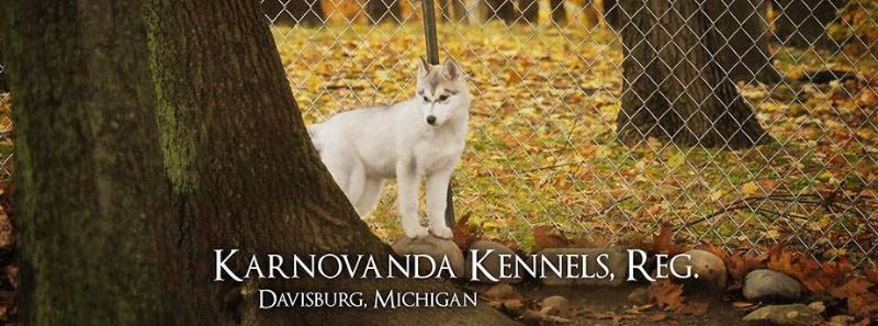 2022 AKC Breeder of the Year