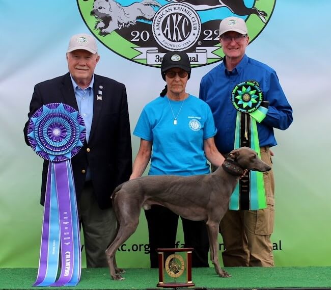 AKC Fast CAT Invitational Pure Speed Division HC 1: Jammin’ Afternoon Tea At Chartwell CD BN RN JC FCAT3 CGC TKN ATT, a Whippet known as “Winston,” owned by Ellen Bonacarti and Susan Farebrother of New Jersey. L - R: AKC Executive Vice President of Sports & Events Doug Ljungren, Susan Farebrother, Field Representative Joe Shoemaker