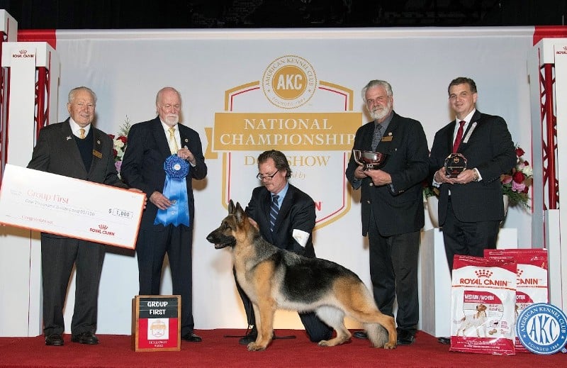 Herding Group Judge Dr. Tom Davies with the Herding Group winner: GCH CH Kaleef's Mercedes, a German Shepherd Dog known as “Mercedes,” owned by Cynthian Wilhelmy of Edgerton, WI and bred by Sheree Moses, Lauren Figler, Madeline Llewellyn, Jeanne Hamilton.