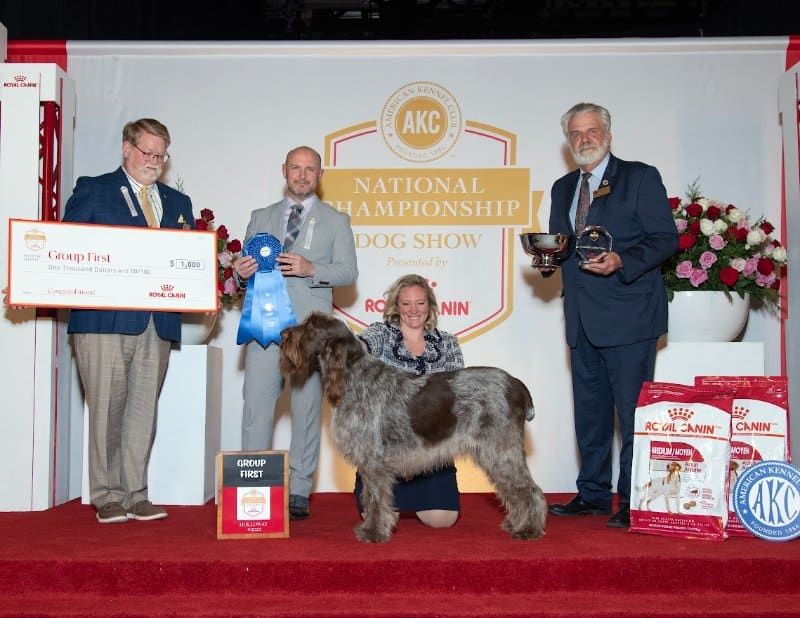Sporting Group Judge Jamie Hubbard with the Sporting Group winner: GCHG CH Collina D'Oro Solo Un Bacio, a Spinone Italiano known as “Josie,” owned by Claire Abraham & Stacey Belt of Lovettsville, VA and bred by Stacey Anderson Belt and Lorne Belt.