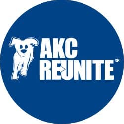 Picture of AKC Reunite