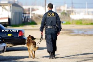 AKC Reunite Opens Nominations for 2023 Adopt A K-9 Cop Grants