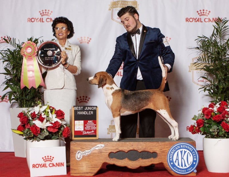 Noah Milam with his Harrier, CH Bydesign's Puerto Vallarta Dream, was awarded the coveted title of Best Junior Handler by Linda Clark