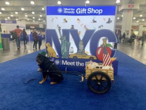 AKC Meet the Breeds 2023 - New York City