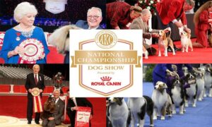 AKC National Championship 2022