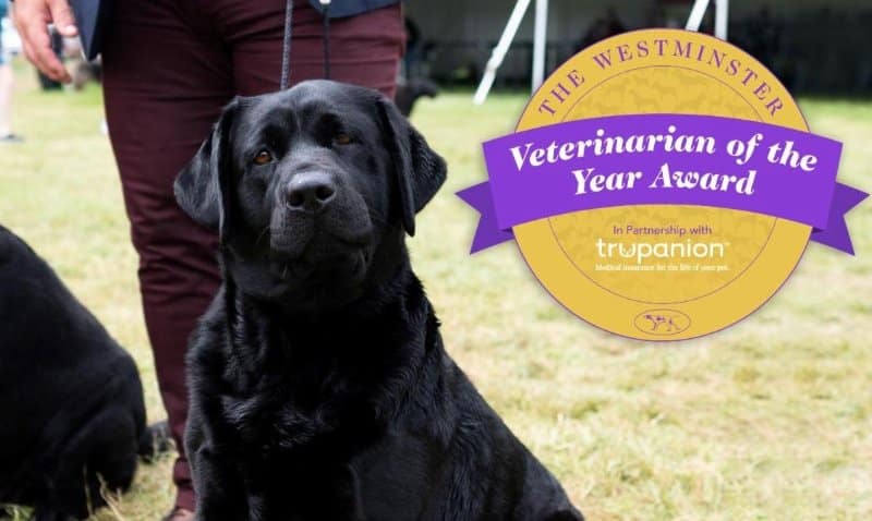 The Westminster Kennel Club and Trupanion Launch the Second Year of the Veterinarian of the Year Award