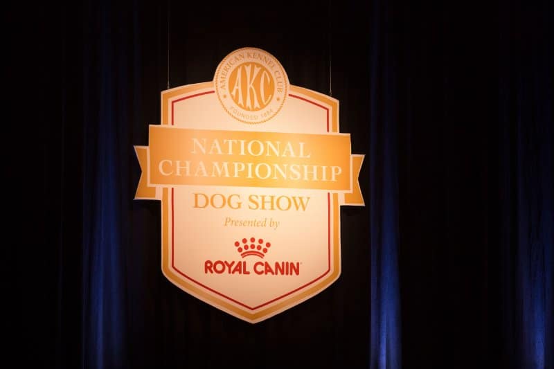 2023 AKC National Championship