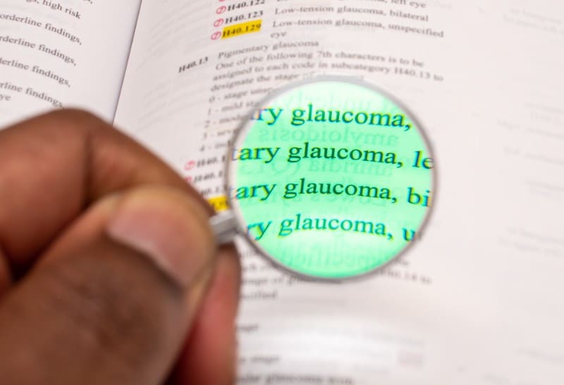 Glaucoma in the American Cocker Spaniel