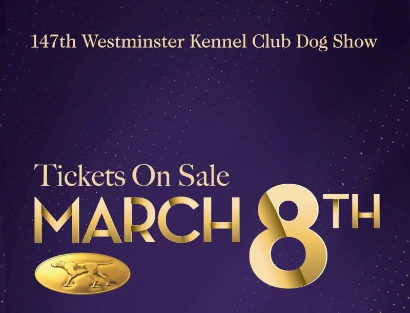 Westminster Kennel Club Dog Show Tickets on Sale Now