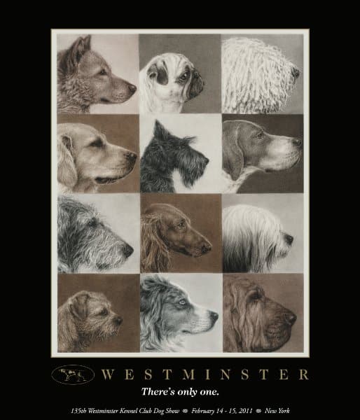 westminster poster