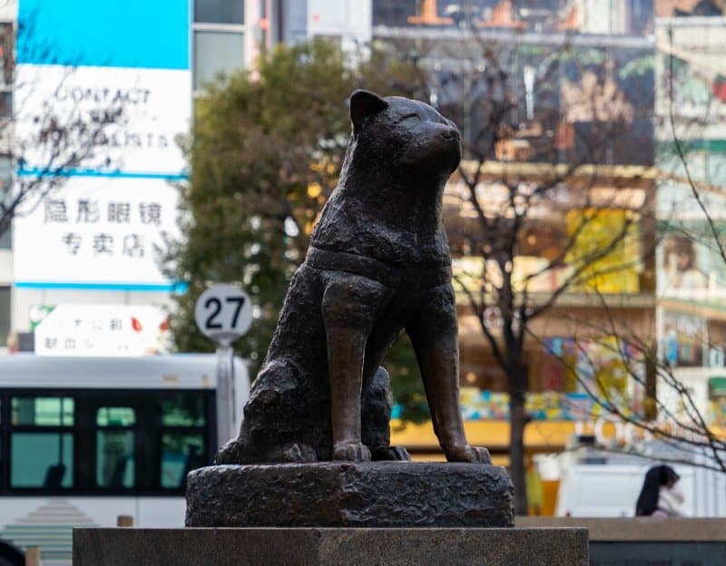 Tokyo, Japan - January 16, 2020: A picture of the Hachiko Memorial Statue, in Shibuya.