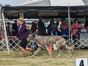 Jeanie Pitzenberger, Breeder of Boondocks Irish Wolfhounds