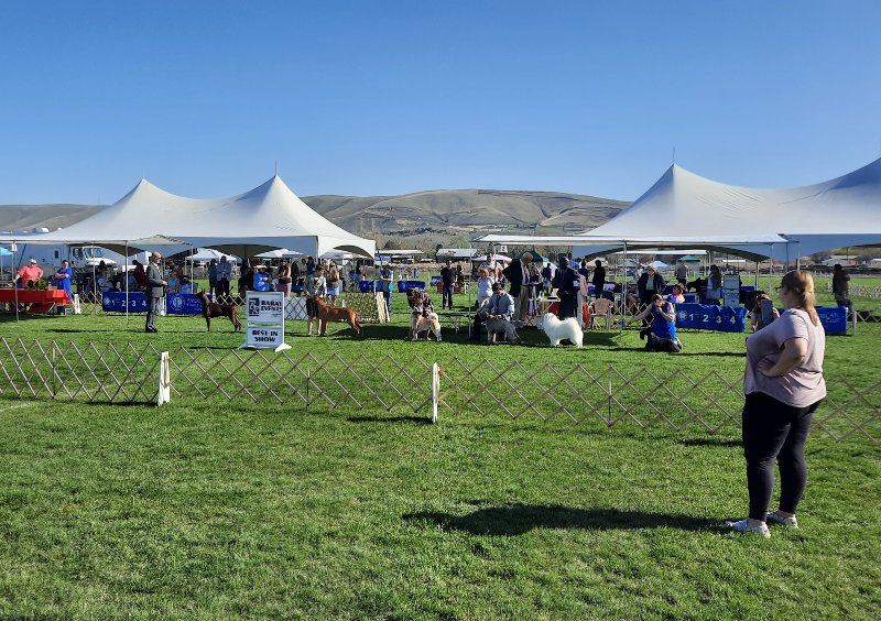 2023 Yakima Valley Kennel Club Dog Show