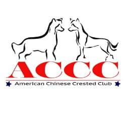 Picture of American Chinese Crested Club