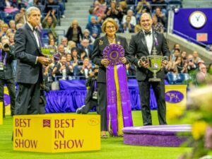 Elizabeth (Beth) Sweigart, the 2023 WKC Dog Show BIS Judge, is pictured holding an acolade in the show ring.