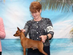 Interview with Kim Byrd, breeder behind the KISA Kennel