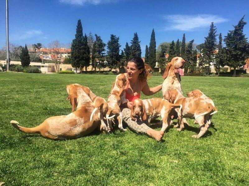 Raquel Colaco, Breeder of Raki’s Place Bracchi Italiani, sitting outside on the grass with her dogs