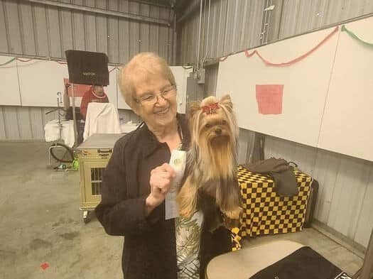 Sharon McCadam, Breeder of FirAcres Yorkshire Terriers. with her dog at a show