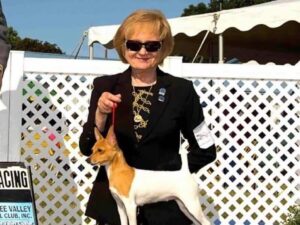 Sheryl Irwin, Breeder of StarFox Toy Fox Terriers