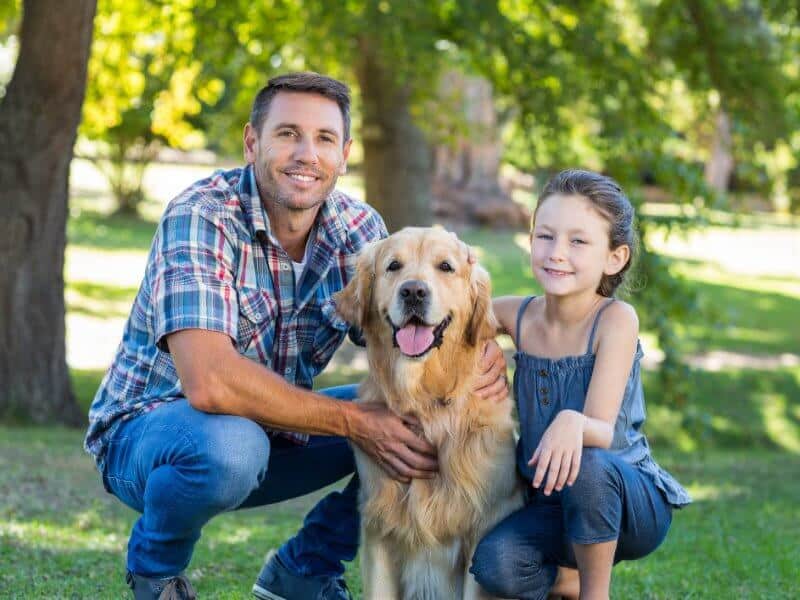 Dad and child with a Golden Retriever