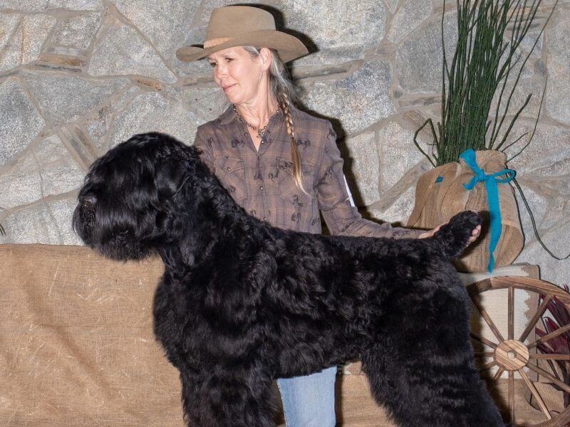 Dr. Christine Robinson, Breeder of Black Russian Terrier
