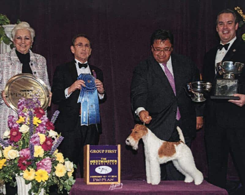 Bruce Schwartz awards the 2014 Westminster Kennel Club Terrier Group award.