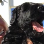 Christine Robinson, Ph.D., breeder of Black Beard Black Russian Terriers