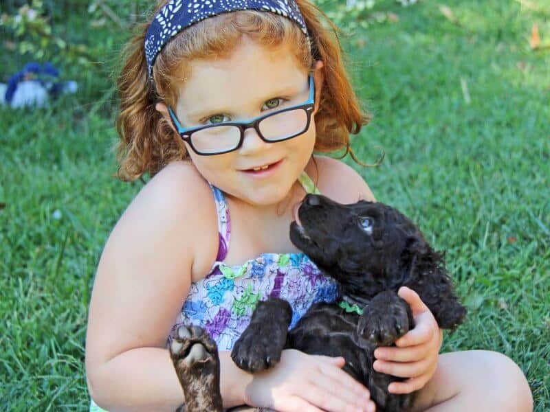 Girl in glasses holding a puppy