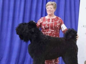 Kahla Johnson with her Black Russian Terrier
