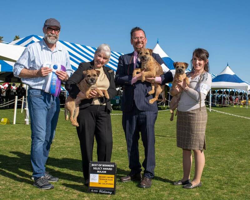 Peter Holson posing with his dogs at a dog show.