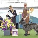 Valerie Black breeder of La Vie en Rose Picards