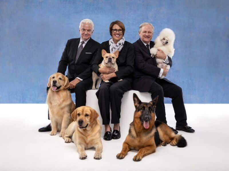 Westminster Dog Show 2025 - Spectacular Dog Competitions