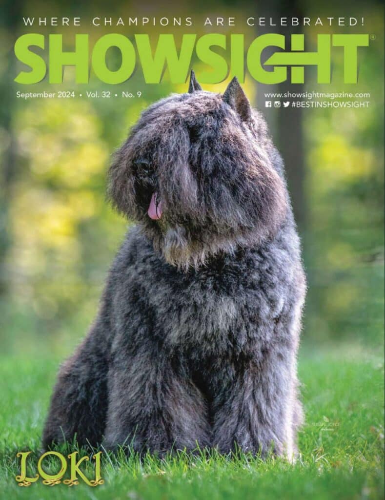 showsight magazine