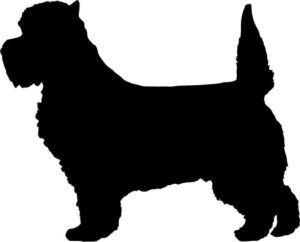 Silhouette of a dog. The concept of “breed type” and correct proportions.