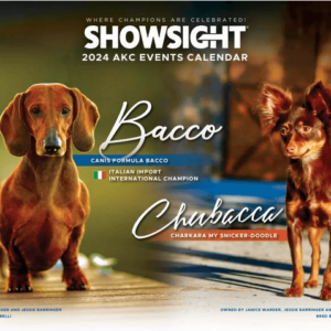 The Official Showsight Magazine 2024 Calendar