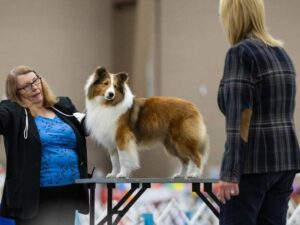 Platte Valley Kennel Club 2023 Dog Show