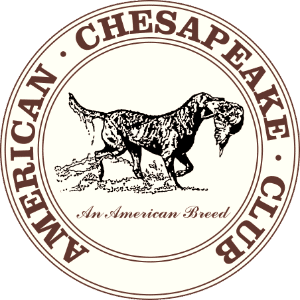 Picture of American Chesapeake Club