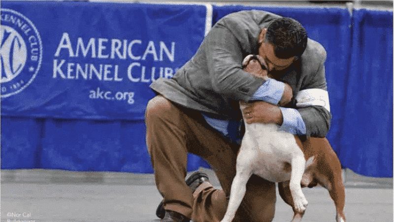 A photo of Ed Thomason hugging his dog at the dog show.