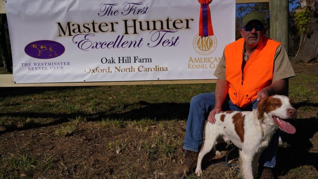 Brian Hedrick and his Brittany Miller at the first Master Hunter Excellent test.