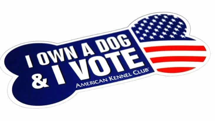 I own a dog and I vote