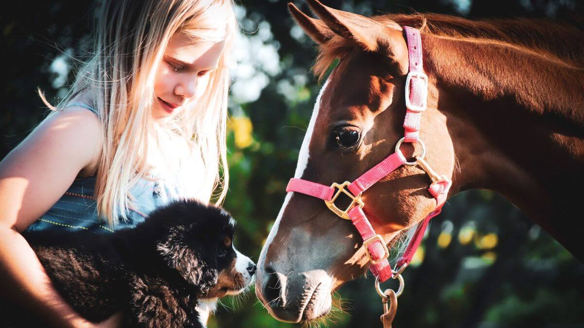 Raini Johnson with her Bernese Mountain Dog puppy and a horse.