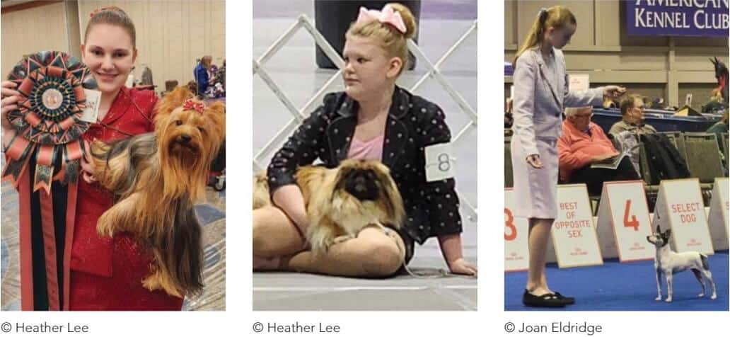 Three images comined into one, three young women showing their dogs in Junior Showmanship.