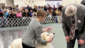 2024 Erie Kennel Club Dog Show