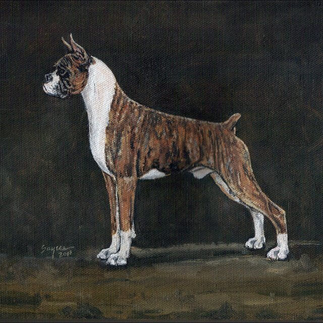 This oil of a Boxer was commissioned by a devoted fancier of the breed.