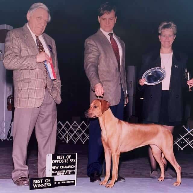 CH County Line’s Pride And Joy finishes her championship under breeder-judge Mr. D. Jay Hyman. Photo by B.W. Kernan