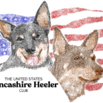 United States Lancashire Heeler Club