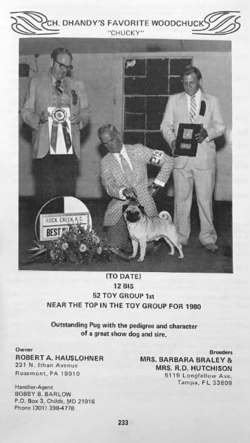 An ambitious ad for the 1981 Best in Show winning Pug, Ch. Dhandy’s Favorite Woodchuck, appears on Page 233 of that year’s catalog.