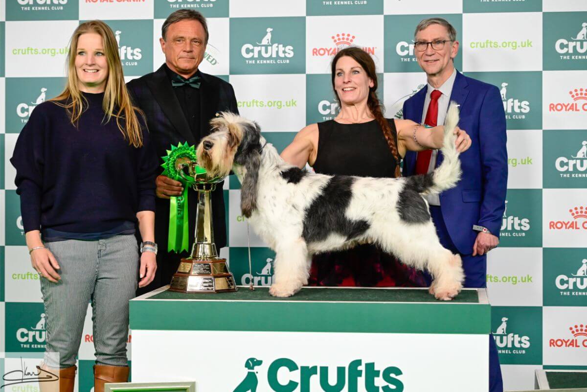 Crufts 2024 HOUND GROUP Judge: Mr. E. Engh (Norway) 1. Ch. Forget-Me-Not V Tum-Tum’s Vriendjes Basset Griffon Vendeen (Grand) Mrs. A. N. Huikeshoven